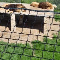 Návštěva ZOO Na Hrádečku