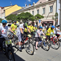 Sociální služby Česká