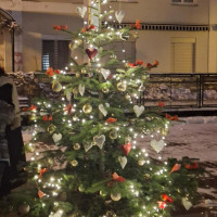 Rozsvícení vánočního stromku