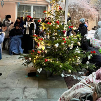 Rozsvícení vánočního stromku