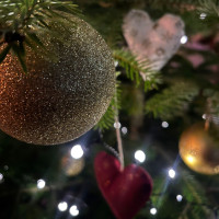 Rozsvícení vánočního stromku