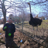 Práce, která je vidět